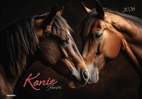 Kalendarz albumowy KA-10 KONIE Avanti